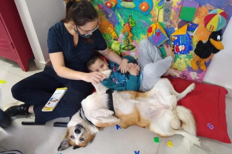 A seis años la terapia asistida con perros, más de 70 niños, niñas y adolescentes reciben tratamiento