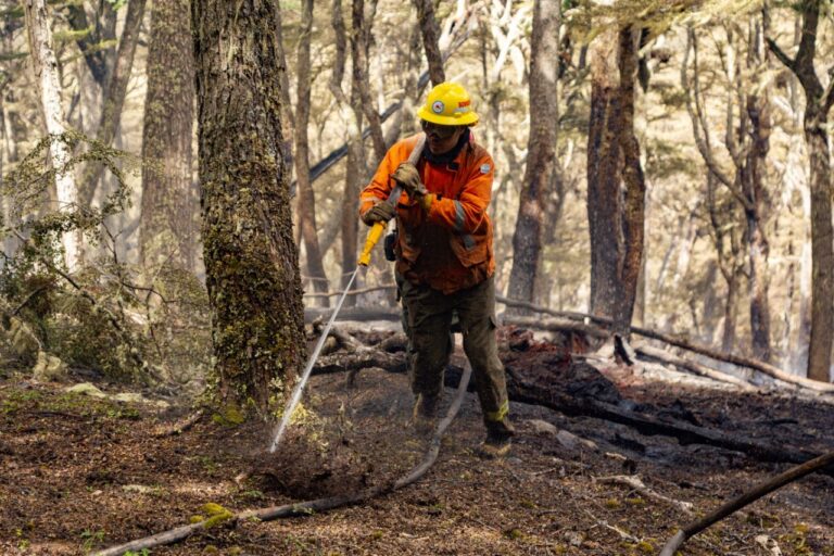 ESTADO DE SITUACIÓN DEL INCENDIO EN LA RESERVA PROVINCIAL CORAZÓN DE LA ISLA