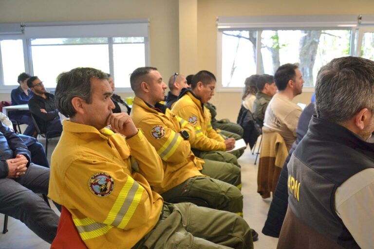 Inicia la temporada de alto riesgo de incendios forestales en Tierra del Fuego